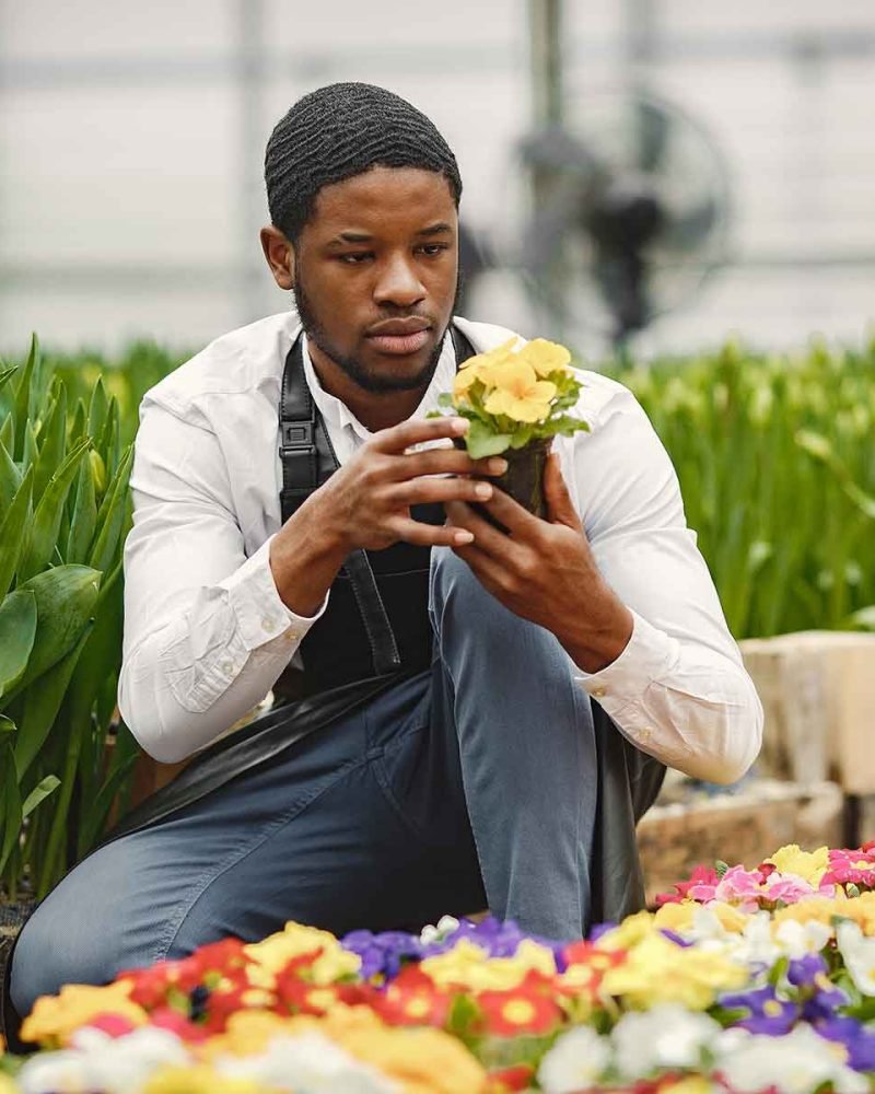 gardener-inspects-flowers-in-a-pot-in-greenhouse-YSJZSQC.jpg